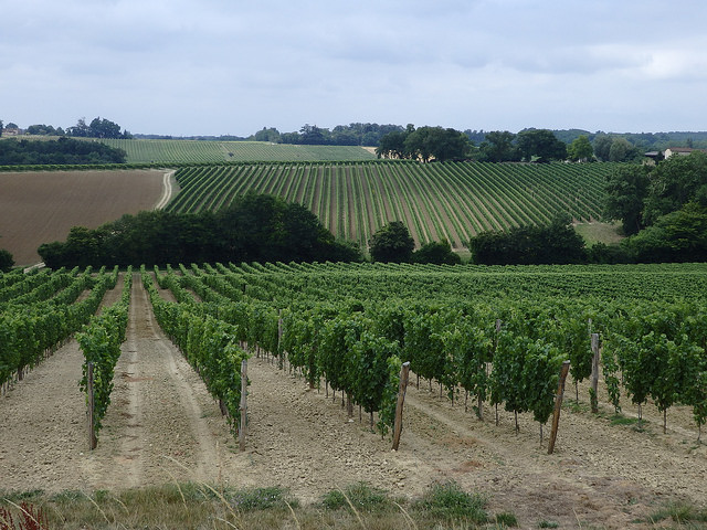 【シュッド・ウエストワイン取材旅行】記事一覧まとめページを作成しました。