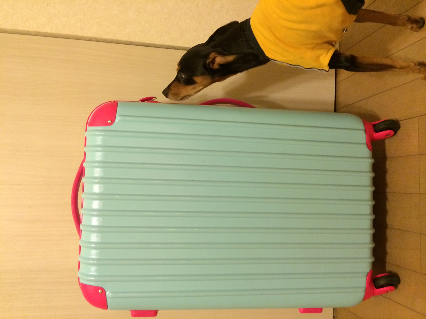 【シュッド・ウエストワイン取材旅行01】プロローグ〜久しぶりの海外、旅の準備編〜