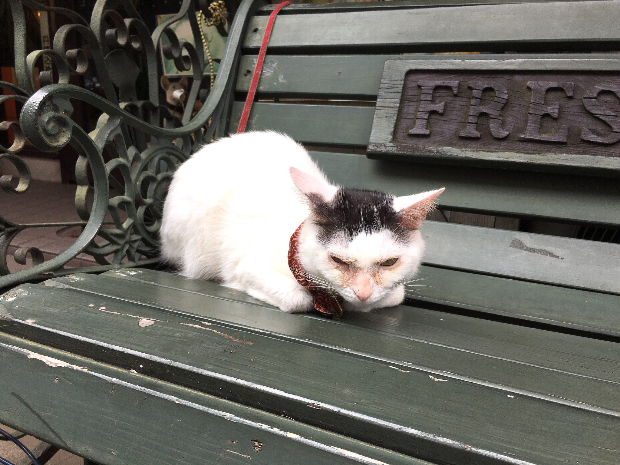 看板猫がお出迎え。クラシカルでアンティークな喫茶店＠カフェアルル（新宿三丁目）