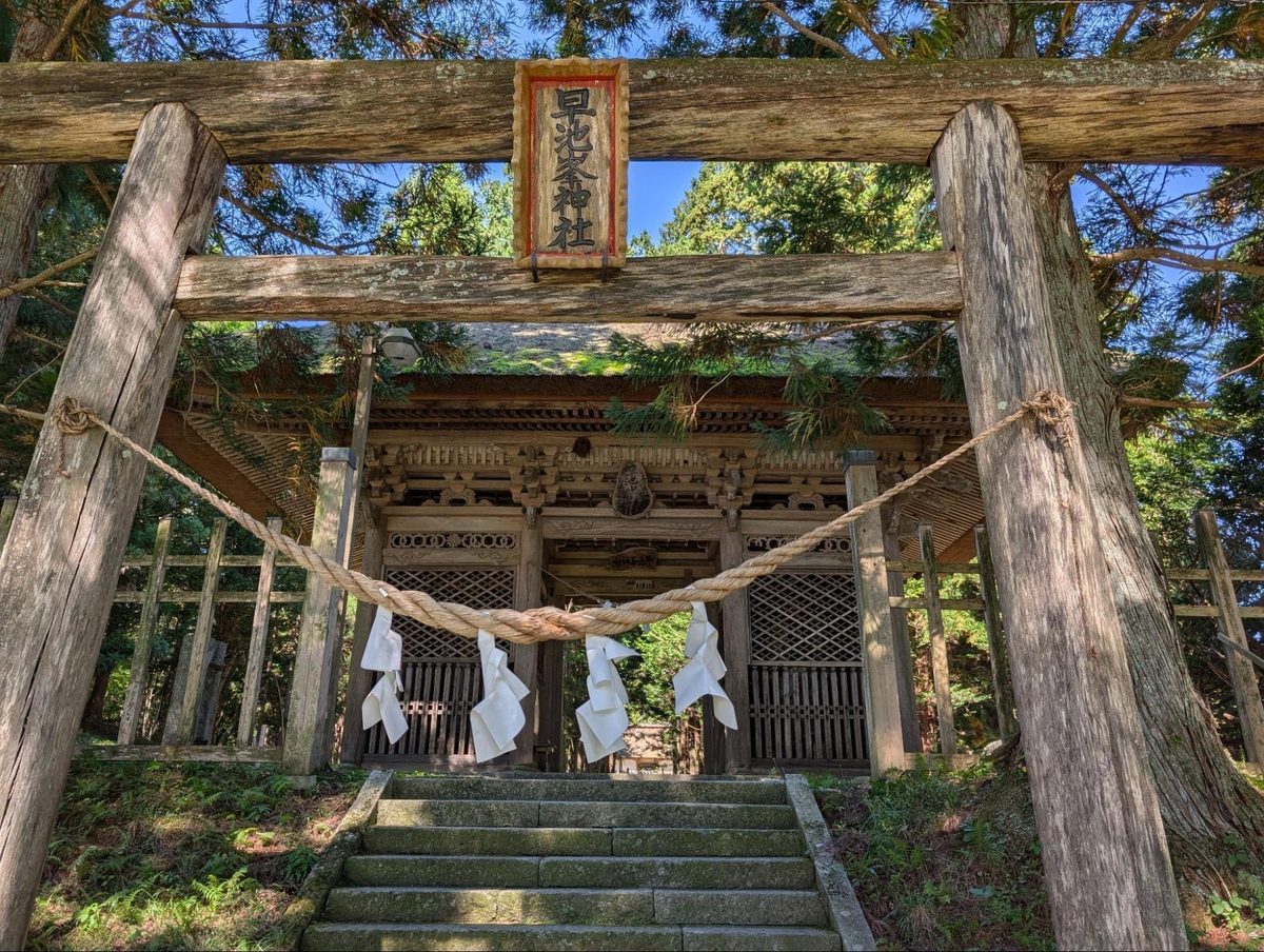 山の上とは思えないほど立派な神社