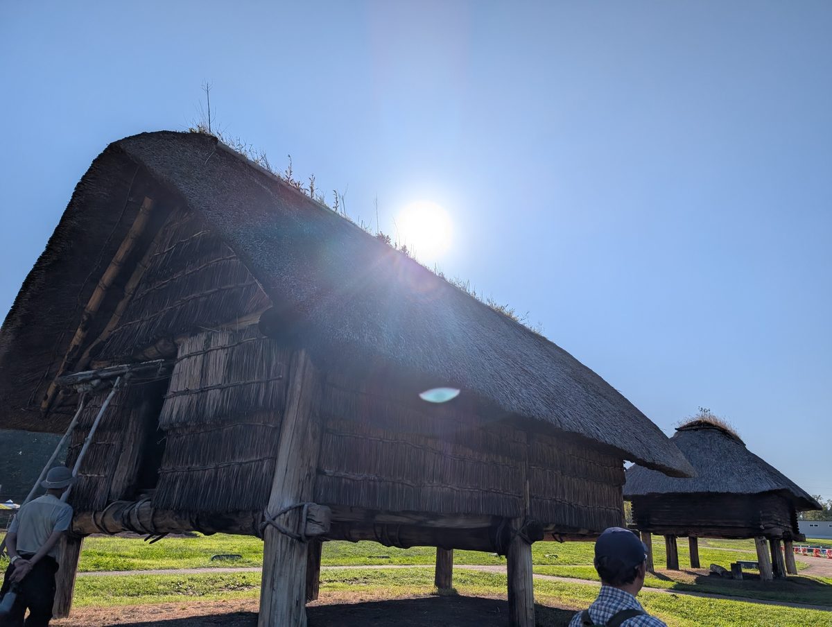 高床式の建物は倉庫だった？