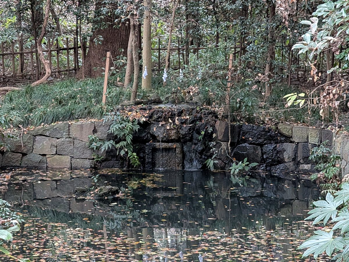 蛇の池では現在もコンコンと水が湧いている