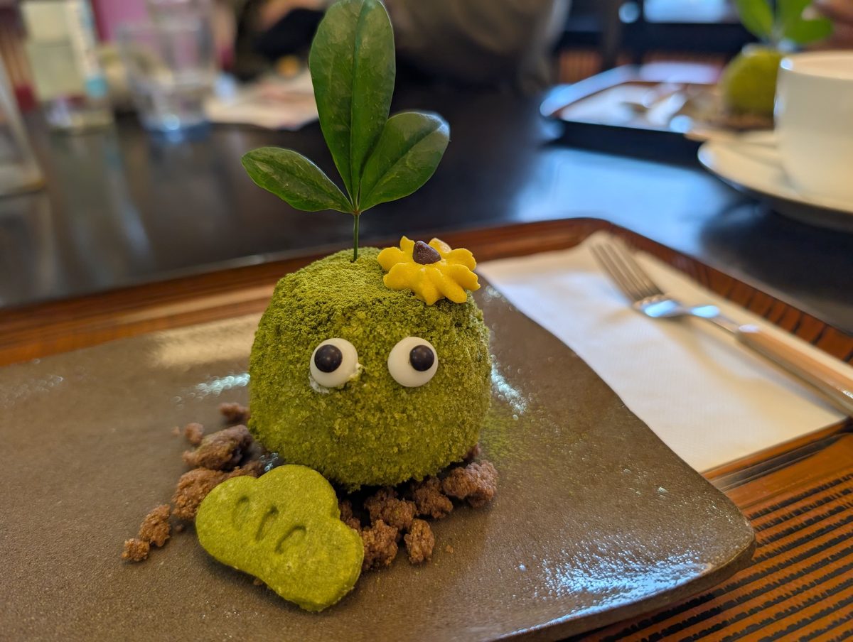 可愛らしい苔玉ケーキ