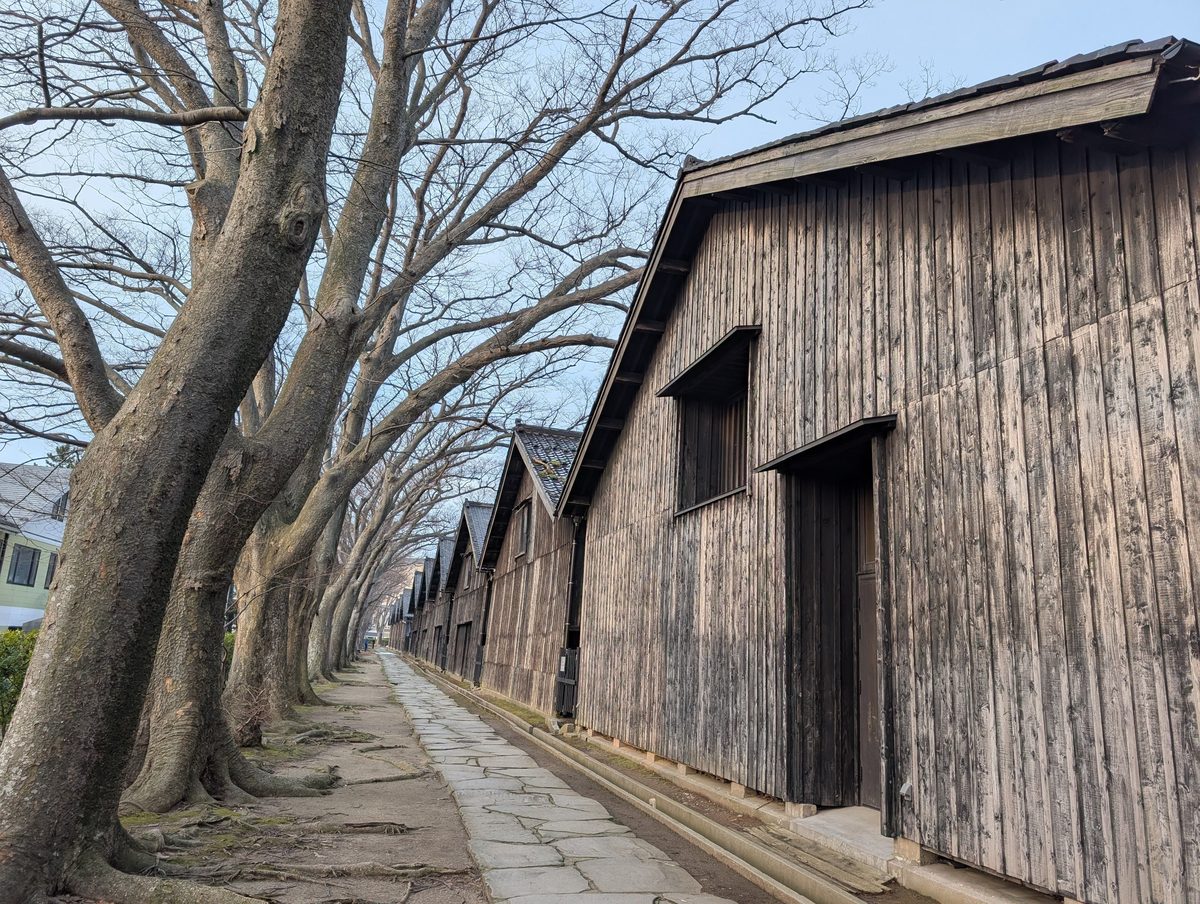 観光名所の山居倉庫