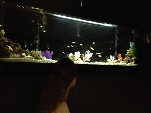熱帯魚が泳ぐオシャレ居酒屋。見た目も素敵なコース料理と驚きのコスパでワンランク上の忘年会におすすめ。＠水想‐suisou‐ 恵比寿店