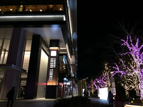 オイスターだけじゃない！フレンチ仕込みの魚介系オシャレ料理でパーティ気分！@貝殻荘 飯田橋サクラテラス店