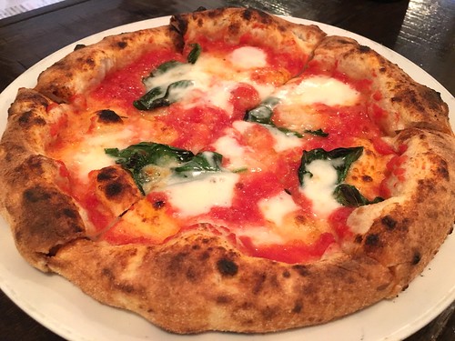 アオジソシガヤ