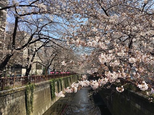 リロンデル