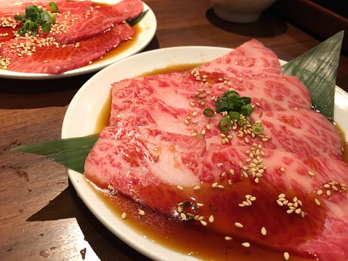 ポンガ本店