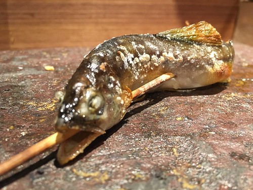 恵比寿 こがね