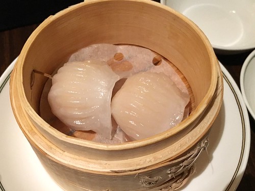 紫玉蘭