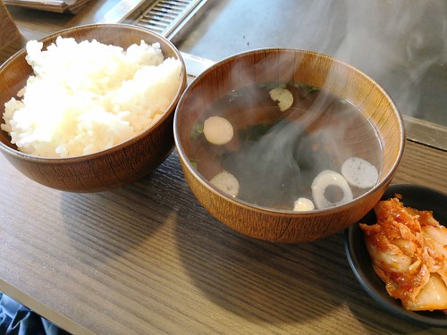 樹樹