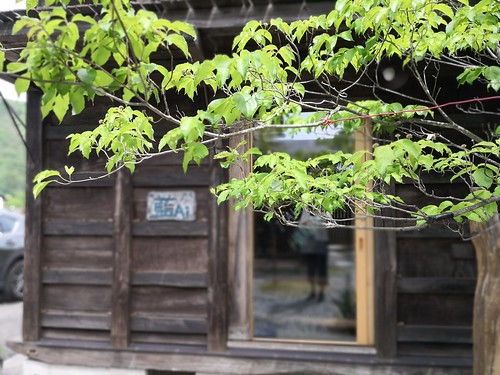 板倉の宿 白栗
