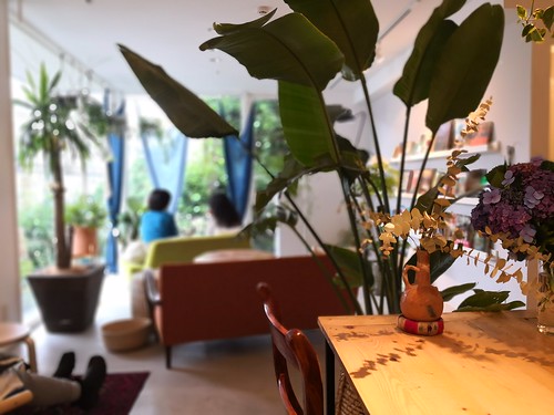 シェルタークコ