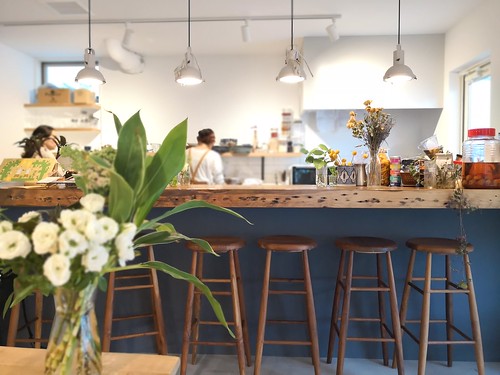 シェルタークコ