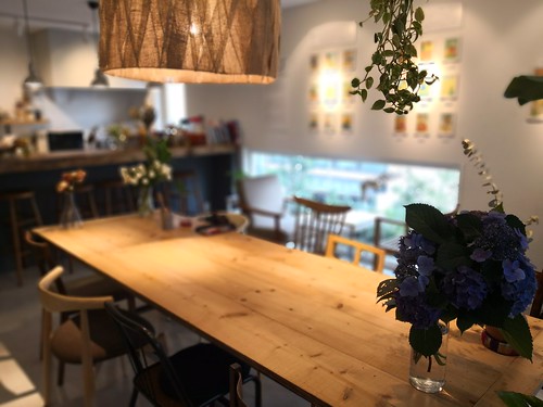 シェルタークコ