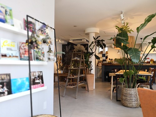 シェルタークコ