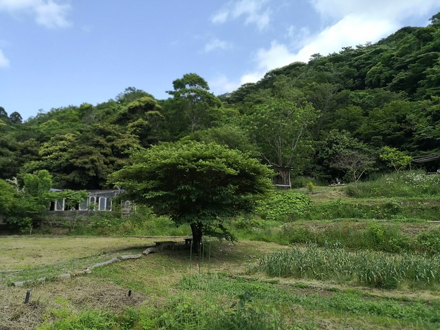 SYOKU-YABO農園
