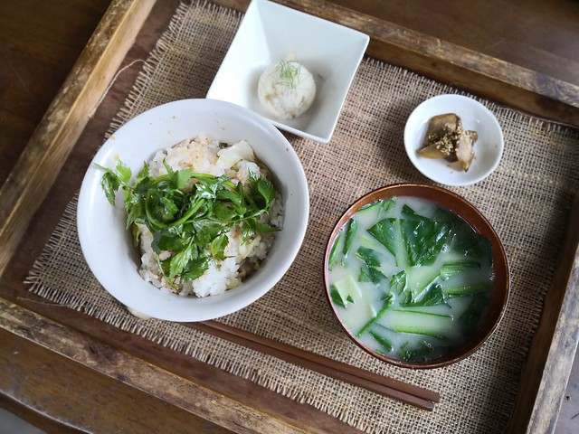 SYOKU-YABO農園