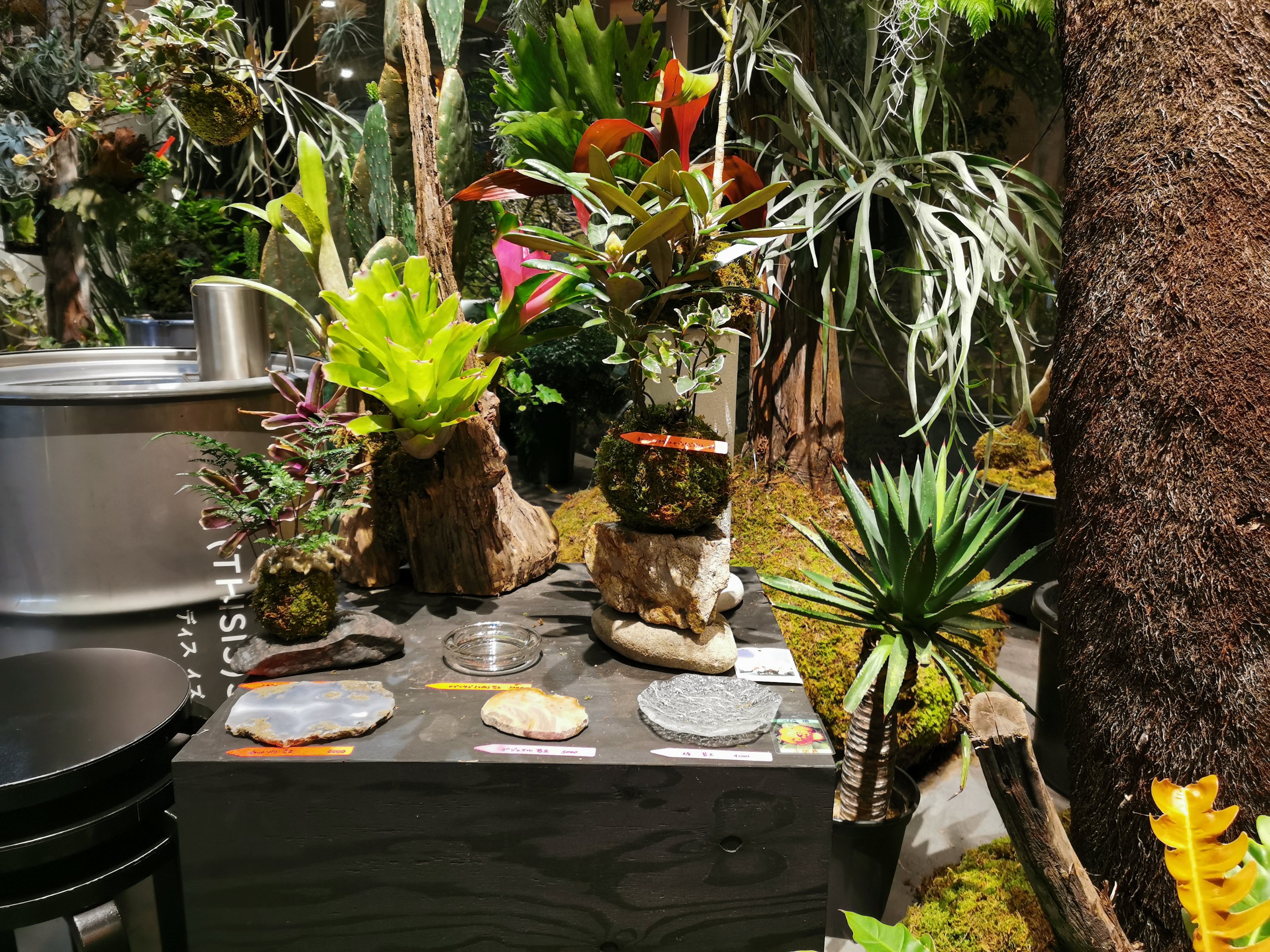 【京都・烏丸御池】ディス イズ シゼン＠新風館内にある自然に囲まれたカフェバー