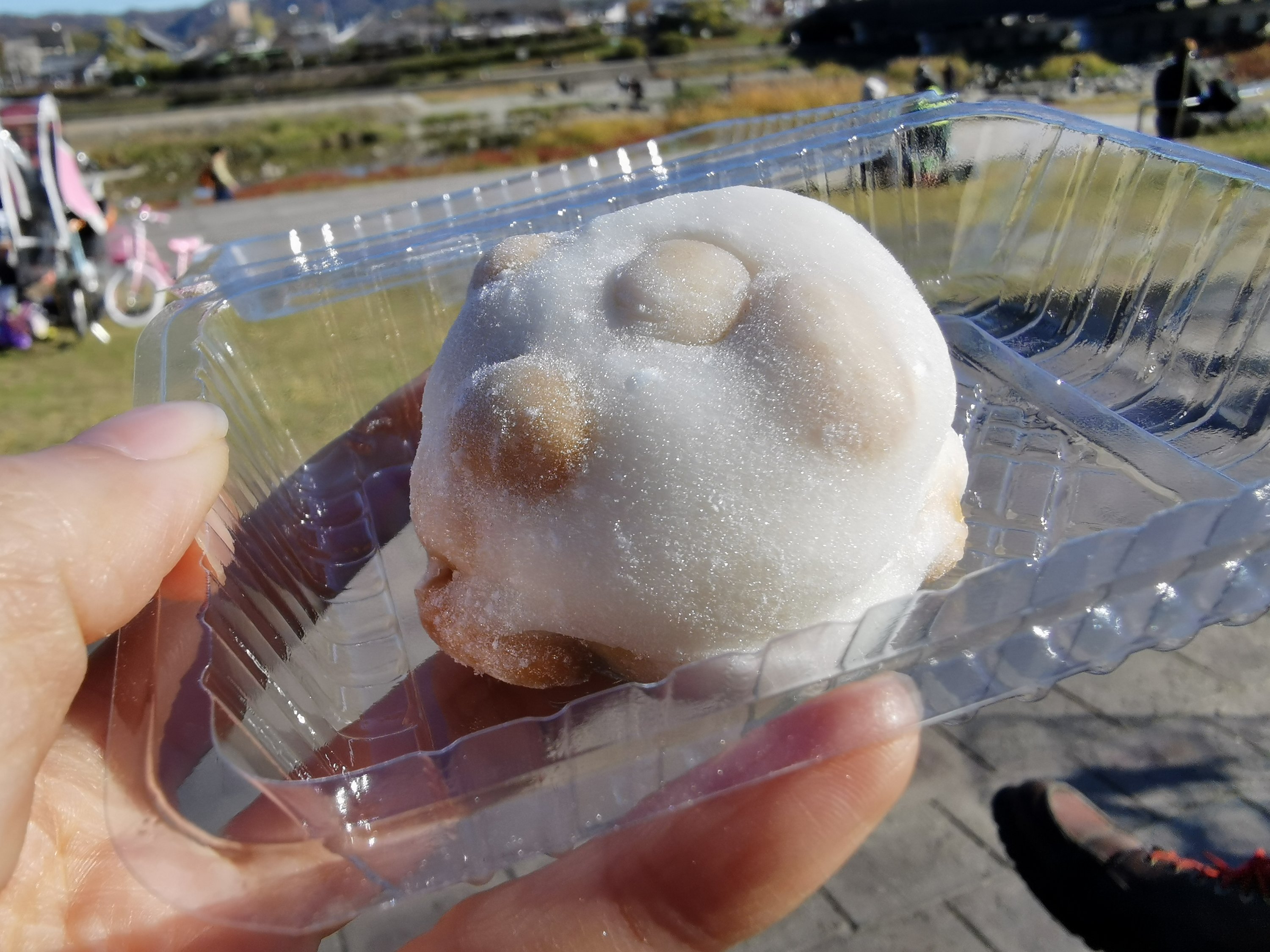 【京都・出町柳】出町ふたば＠豆がうまい豆大福。並んでまでも食べたくなります。